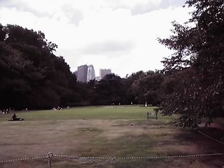 12-09-29_001.jpg
